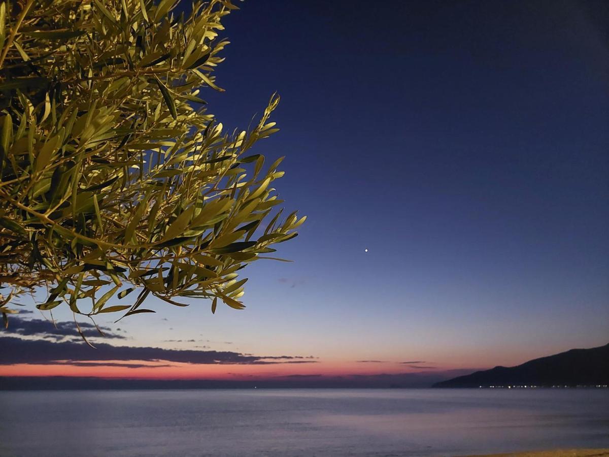 Villa Sevi Vrasná Esterno foto