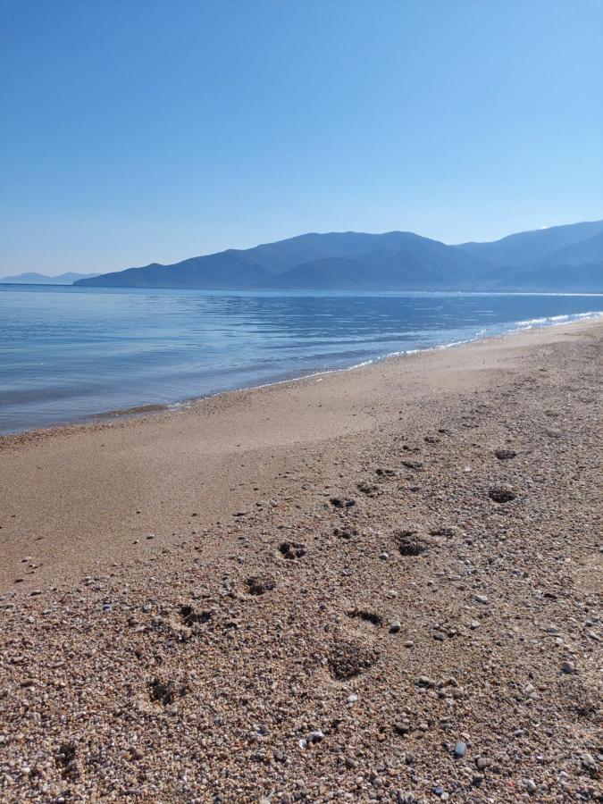Villa Sevi Vrasná Esterno foto