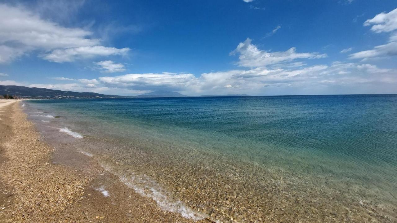 Villa Sevi Vrasná Esterno foto