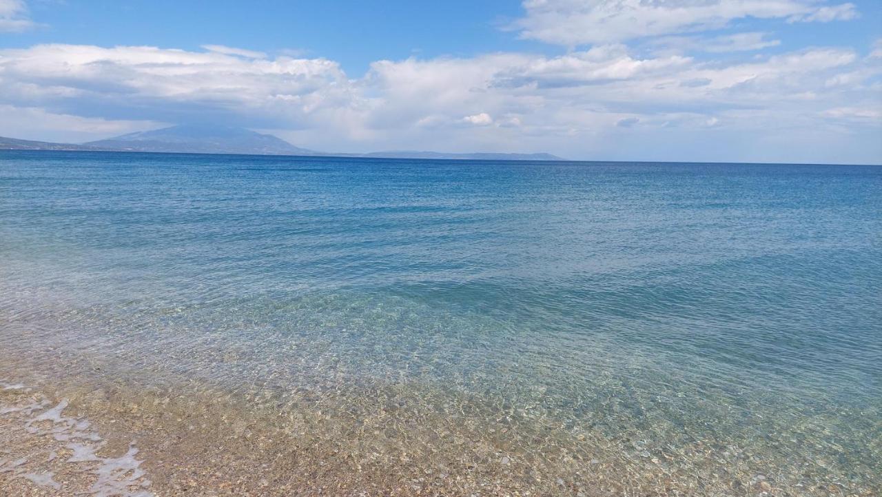 Villa Sevi Vrasná Esterno foto