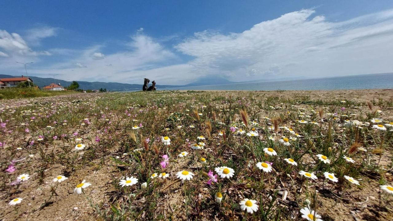 Villa Sevi Vrasná Esterno foto
