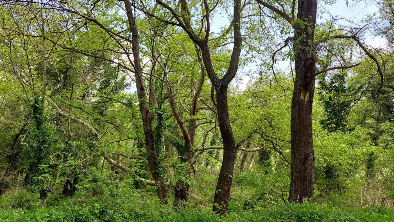 Villa Sevi Vrasná Esterno foto