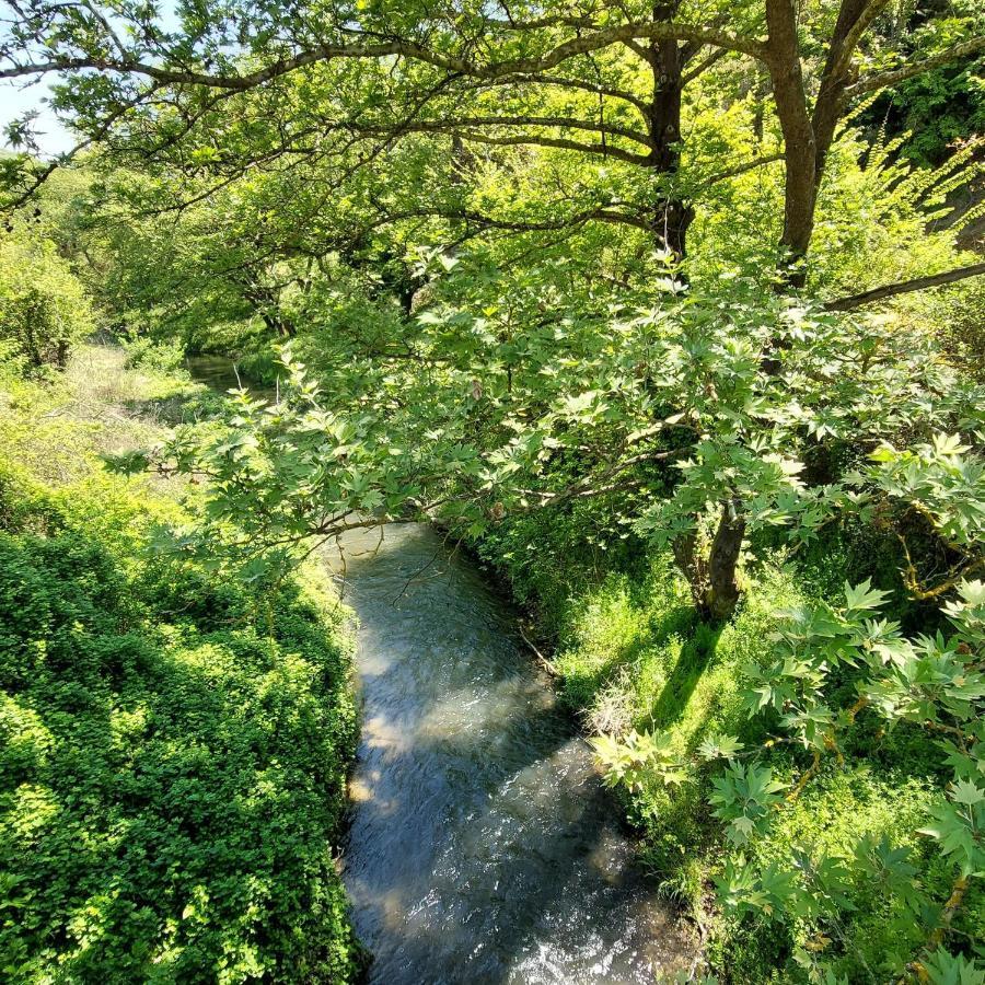 Villa Sevi Vrasná Esterno foto